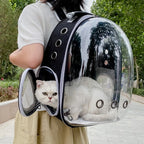 Portable Space Capsule Cat Backpack – Breathable Transparent Pet Carrier