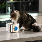 3.2L Stainless Steel Cat Water Fountain Super Silent
