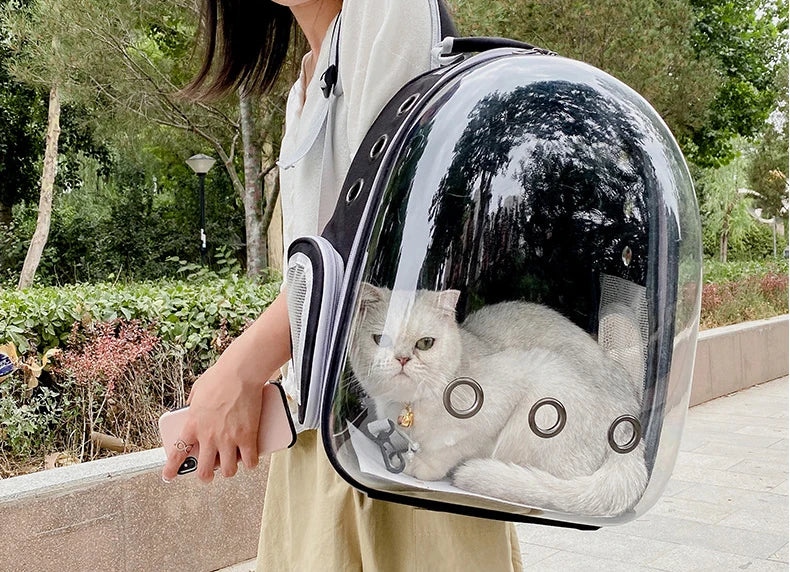 Portable Space Capsule Cat Backpack – Breathable Transparent Pet Carrier